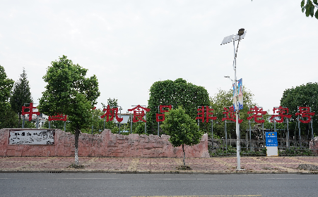 當(dāng)定制葛粉時(shí)，我們真正在選擇什么？